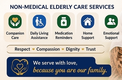 Our services
